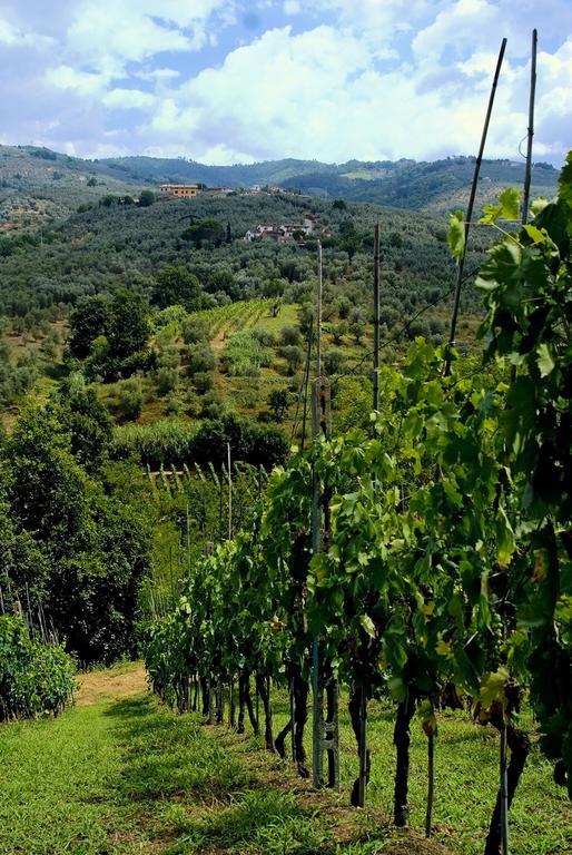 Villa Antico Borghetto Di Tigliano Vinci Exteriér fotografie