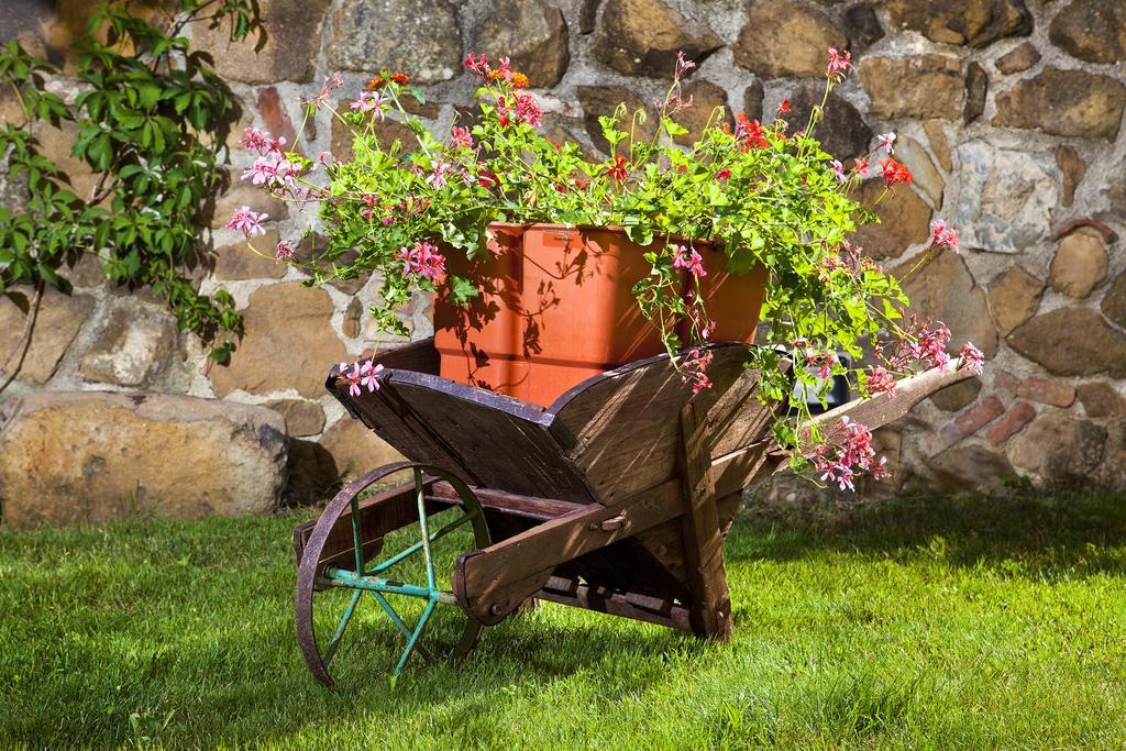 Villa Antico Borghetto Di Tigliano Vinci Exteriér fotografie